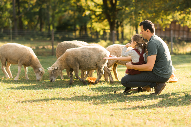 Fall is in full swing here in NJ, my first Fall Family session with Anna and Adam at their Farm House in Hackettstown NJ. Anna and Adam recently purchased their dream farm house on a 4 acres of land. This family of four now has chickens, ducks, birds, cats, a dog, sheep and plans to add many more to the list in the future. I had the honor of visiting Anna and Adam and their two beautiful children at their Farm the other day. I got much need vitamin D walking around the property, enjoying the foliage, running around with their kids and meeting all the farm animals. I sincerely enjoy photographing families now because there are no dull moments with kids, every moment is perfect! Fall family session at Anna and Adam’s Farm at Hackettstown NJ photographed by Karis from HeyKaris.